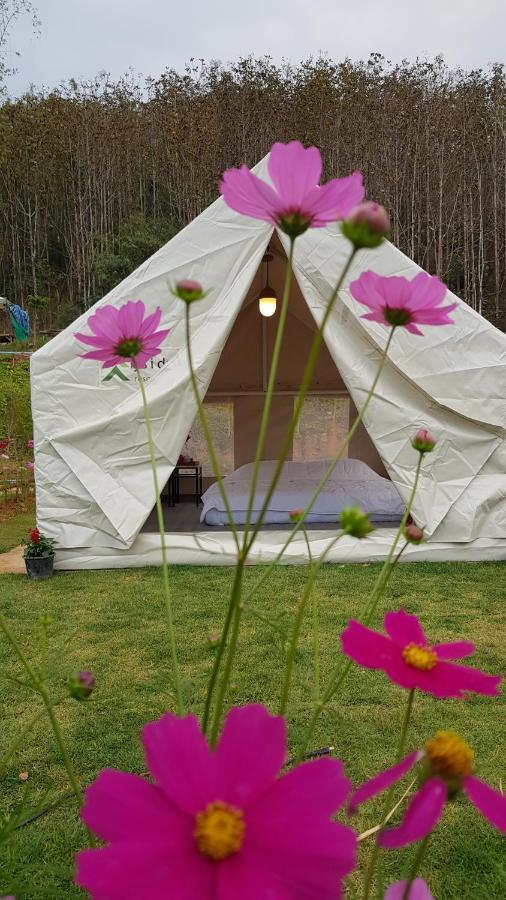קאו קו Lys I Dalen Resort&Camping מראה חיצוני תמונה